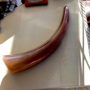 Decorative Horn